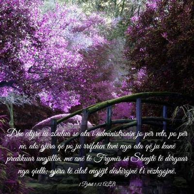 Picture 03 - 1 Pjetrit 1:12 ALB - Dhe atyre iu zbulua se ata i administronin jo - Bible Verse Picture