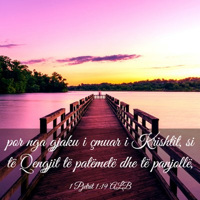 Picture 03 - 1 Pjetrit 1:19 ALB - por nga gjaku i çmuar i Krishtit, si të Qengjit - Bible Verse Picture