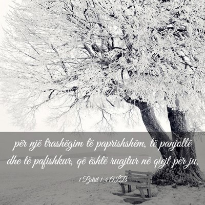 Picture 03 - 1 Pjetrit 1:4 ALB - për një trashëgim të paprishshëm, të - Bible Verse Picture