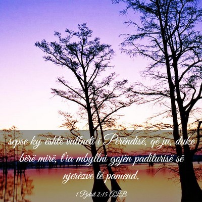 Picture 03 - 1 Pjetrit 2:15 ALB - sepse ky është vullneti i Perëndisë, që ju, - Bible Verse Picture