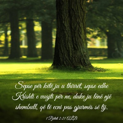 Picture 03 - 1 Pjetrit 2:21 ALB - Sepse për këtë ju u thirrët, sepse edhe - Bible Verse Picture
