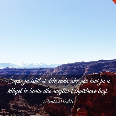 Picture 03 - 1 Pjetrit 2:25 ALB - Sepse ju ishit si dele endacake por tani ju u - Bible Verse Picture
