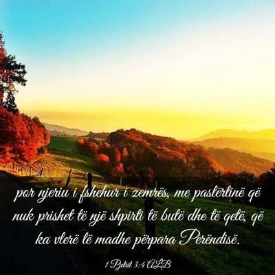 Picture 03 - 1 Pjetrit 3:4 ALB - por njeriu i fshehur i zemrës, me pastërtinë - Bible Verse Picture
