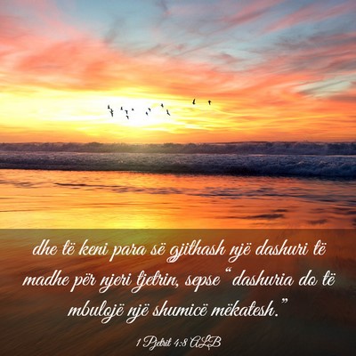 Picture 03 - 1 Pjetrit 4:8 ALB - dhe të keni para së gjithash një dashuri të - Bible Verse Picture