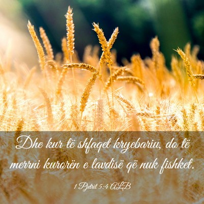 Picture 03 - 1 Pjetrit 5:4 ALB - Dhe kur të shfaqet kryebariu, do të merrni - Bible Verse Picture