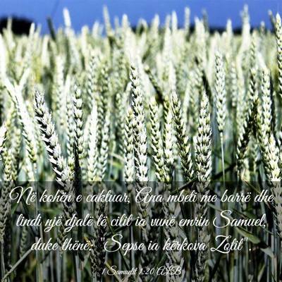 Picture 03 - 1 Samuelit 1:20 ALB - Në kohën e caktuar, Ana mbeti me barrë dhe - Bible Verse Picture