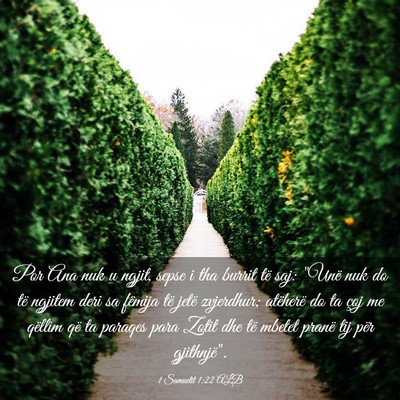 Picture 03 - 1 Samuelit 1:22 ALB - Por Ana nuk u ngjit, sepse i tha burrit të saj: - Bible Verse Picture