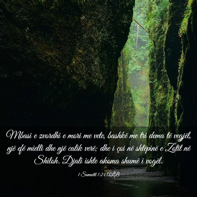 Picture 03 - 1 Samuelit 1:24 ALB - Mbasi e zvordhi e mori me vete, bashkë me tri - Bible Verse Picture