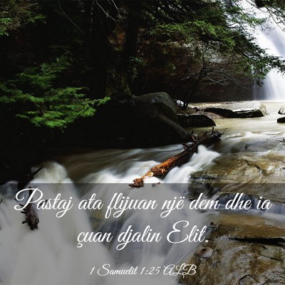 Picture 03 - 1 Samuelit 1:25 ALB - Pastaj ata flijuan një dem dhe ia çuan djalin - Bible Verse Picture