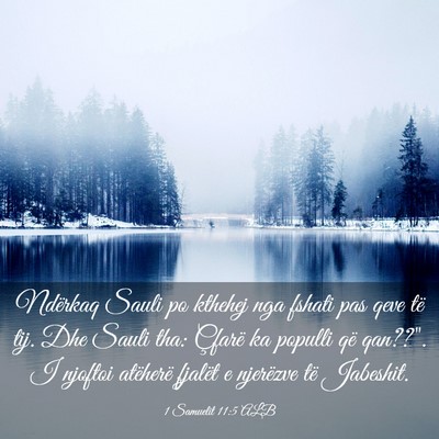 Picture 03 - 1 Samuelit 11:5 ALB - Ndërkaq Sauli po kthehej nga fshati pas qeve të - Bible Verse Picture