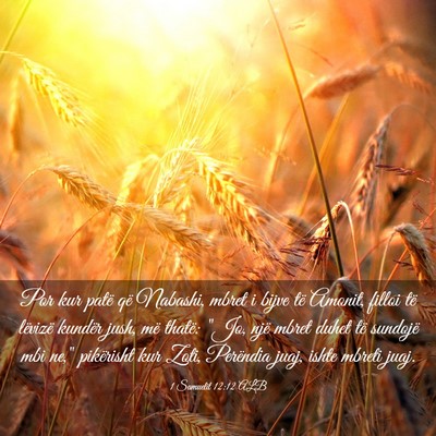Picture 03 - 1 Samuelit 12:12 ALB - Por kur patë që Nabashi, mbret i bijve të - Bible Verse Picture