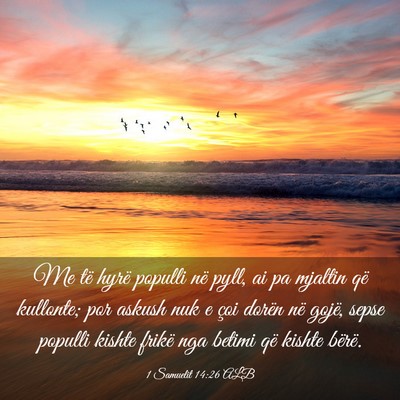 Picture 03 - 1 Samuelit 14:26 ALB - Me të hyrë populli në pyll, ai pa mjaltin që - Bible Verse Picture