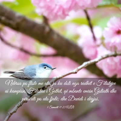 Picture 03 - 1 Samuelit 17:23 ALB - Ndërsa po fliste me ata, ja ku doli nga radhët - Bible Verse Picture