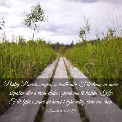 Picture 03 - 1 Samuelit 17:51 ALB - Pastaj Davidi vrapoi, u hodh mbi Filisteun, ia - Bible Verse Picture