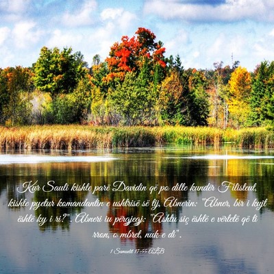 Picture 03 - 1 Samuelit 17:55 ALB - Kur Sauli kishte parë Davidin që po dilte - Bible Verse Picture