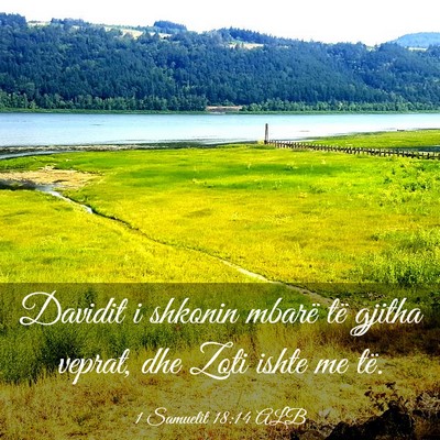Picture 03 - 1 Samuelit 18:14 ALB - Davidit i shkonin mbarë të gjitha veprat, dhe - Bible Verse Picture