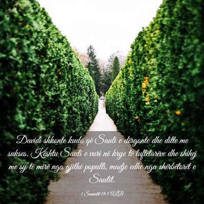 Picture 03 - 1 Samuelit 18:5 ALB - Davidi shkonte kudo që Sauli e dërgonte dhe - Bible Verse Picture
