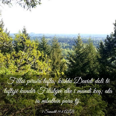 Picture 03 - 1 Samuelit 19:8 ALB - Filloi përsëri lufta; kështu Davidi doli të - Bible Verse Picture