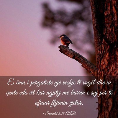 Picture 03 - 1 Samuelit 2:19 ALB - E ëma i përgatiste një veshje të vogël dhe - Bible Verse Picture