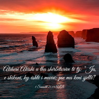Picture 03 - 1 Samuelit 21:14 ALB - Atëherë Akishi u tha shërbëtorëve të tij: - Bible Verse Picture