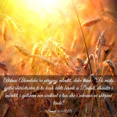 Picture 03 - 1 Samuelit 22:14 ALB - Atëherë Ahimeleku iu përgjegj mbretit, duke - Bible Verse Picture