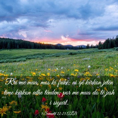 Picture 03 - 1 Samuelit 22:23 ALB - Rri me mua, mos ki frikë; ai që kërkon jetën - Bible Verse Picture