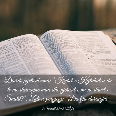 Picture 03 - 1 Samuelit 23:12 ALB - Davidi pyeti akoma: 