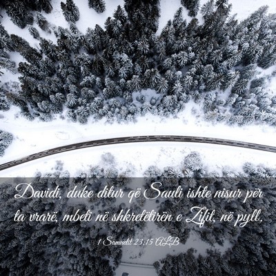 Picture 03 - 1 Samuelit 23:15 ALB - Davidi, duke ditur që Sauli ishte nisur për ta - Bible Verse Picture
