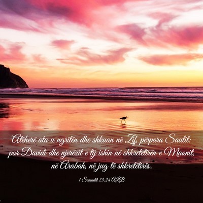 Picture 03 - 1 Samuelit 23:24 ALB - Atëherë ata u ngritën dhe shkuan në Zif, - Bible Verse Picture