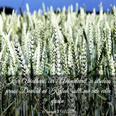 Picture 03 - 1 Samuelit 23:6 ALB - Kur Abiathari, bir i Ahimelekut, u strehua pranë - Bible Verse Picture