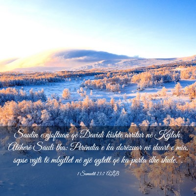 Picture 03 - 1 Samuelit 23:7 ALB - Saulin e njoftuan që Davidi kishte arritur në - Bible Verse Picture
