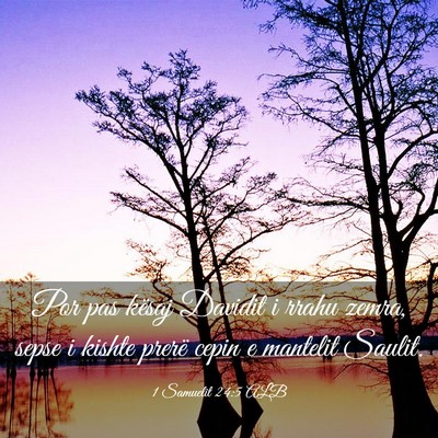 Picture 03 - 1 Samuelit 24:5 ALB - Por pas kësaj Davidit i rrahu zemra, sepse i - Bible Verse Picture