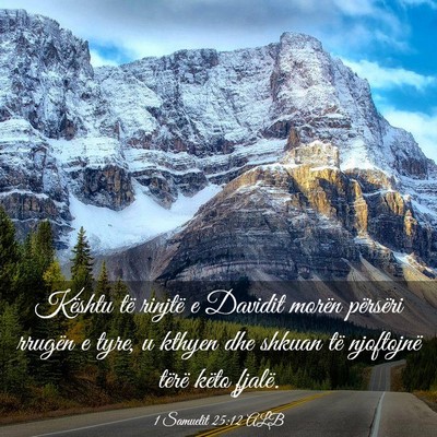 Picture 03 - 1 Samuelit 25:12 ALB - Kështu të rinjtë e Davidit morën përsëri - Bible Verse Picture