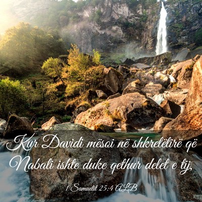 Picture 03 - 1 Samuelit 25:4 ALB - Kur Davidi mësoi në shkretëtirë që Nabali - Bible Verse Picture