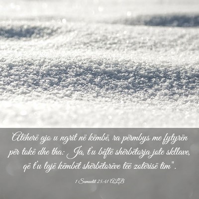 Picture 03 - 1 Samuelit 25:41 ALB - Atëherë ajo u ngrit në këmbë, ra përmbys me - Bible Verse Picture