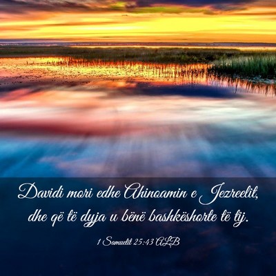 Picture 03 - 1 Samuelit 25:43 ALB - Davidi mori edhe Ahinoamin e Jezreelit, dhe që - Bible Verse Picture