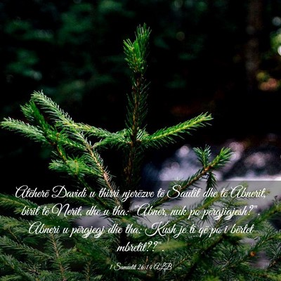 Picture 03 - 1 Samuelit 26:14 ALB - Atëherë Davidi u thirri njerëzve të Saulit - Bible Verse Picture