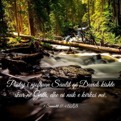 Picture 03 - 1 Samuelit 27:4 ALB - Pastaj i njoftuan Saulit që Davidi kishte ikur - Bible Verse Picture
