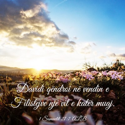 Picture 03 - 1 Samuelit 27:7 ALB - Davidi qëndroi në vendin e Filistejve një vit - Bible Verse Picture