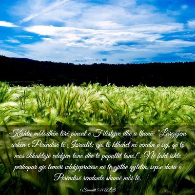 Picture 03 - 1 Samuelit 5:11 ALB - Kështu mblodhën tërë pincat e Filistejve dhe - Bible Verse Picture