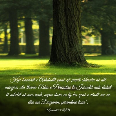 Picture 03 - 1 Samuelit 5:7 ALB - Kur banorët e Ashdodit panë që punët shkonin - Bible Verse Picture