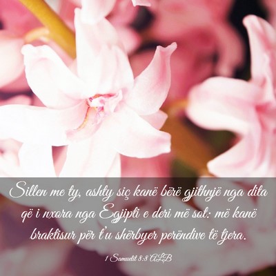 Picture 03 - 1 Samuelit 8:8 ALB - Sillen me ty, ashty siç kanë bërë gjithnjë - Bible Verse Picture