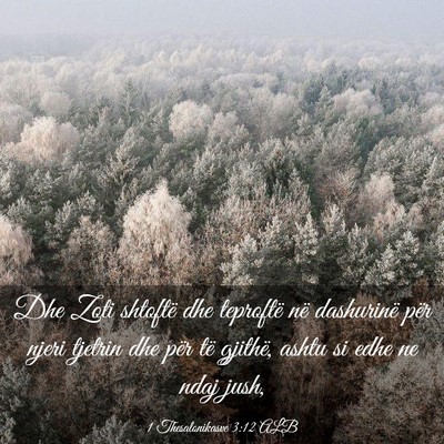 Picture 03 - 1 Thesalonikasve 3:12 ALB - Dhe Zoti shtoftë dhe teproftë në dashurinë - Bible Verse Picture
