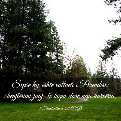 Picture 03 - 1 Thesalonikasve 4:3 ALB - Sepse ky është vullneti i Perëndisë: - Bible Verse Picture