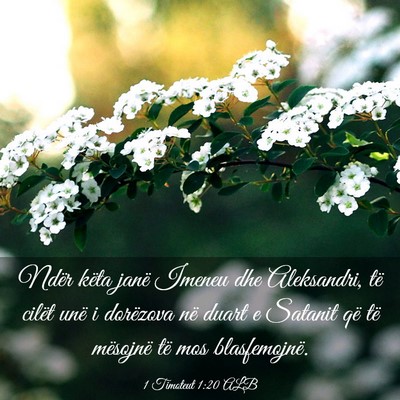 Picture 03 - 1 Timoteut 1:20 ALB - Ndër këta janë Imeneu dhe Aleksandri, të - Bible Verse Picture