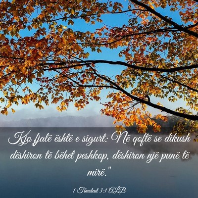 Picture 03 - 1 Timoteut 3:1 ALB - Kjo fjalë është e sigurt: Në qoftë se dikush - Bible Verse Picture