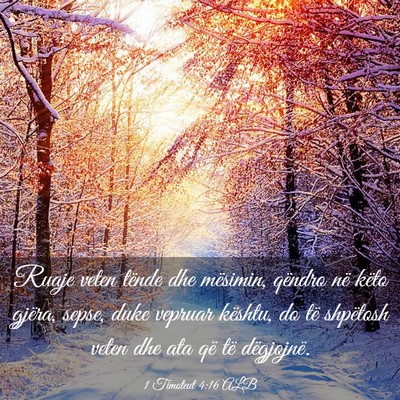 Picture 03 - 1 Timoteut 4:16 ALB - Ruaje veten tënde dhe mësimin, qëndro në - Bible Verse Picture