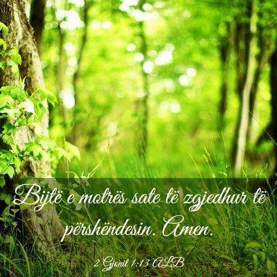 Picture 03 - 2 Gjonit 1:13 ALB - Bijtë e motrës sate të zgjedhur të - Bible Verse Picture