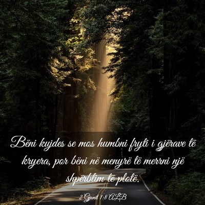 Picture 03 - 2 Gjonit 1:8 ALB - Bëni kujdes se mos humbni fryti i gjërave të - Bible Verse Picture