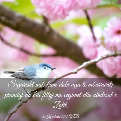 Picture 03 - 2 Korintasve 12:1 ALB - Sigurisht nuk kam dobi nga të mburrurit; prandaj - Bible Verse Picture